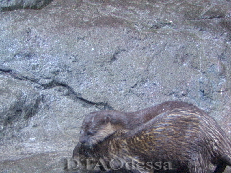 Thailand, Bangkok, Siam Ocean World